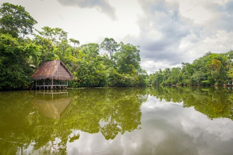 amazonía colombiana, brown wooden house on lake during daytime