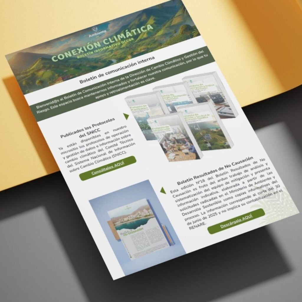 Boletín de comunicación interna DCCGR